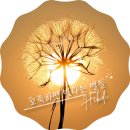 수양미장원 | 치유글쓰기_일상 중독