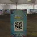 마켓무노량진점 | 포트빌리지 부산 2026 다녀온 솔직후기 위치 주차 먹거리 라인업 입장료 정보