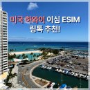 주식회사 고려카 | 미국 하와이 이심 esim무제한 데이터 링톡 사용기부터ESTA 신청 입국 심사 후기까지!