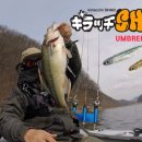 피싱디앤에이(FishingD.N.A.)