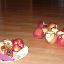 썩은 사과와 천년된 백일홍 이미지