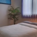 하이제인 이미지