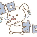 우사기짱