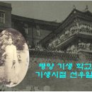 일선 이미지