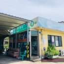 뉴인제카 이미지