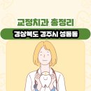 이갑돈치과의원 | 경상북도 경주시 성동동 교정치과 총정리