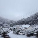 물맑은펜션 이미지