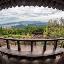 금관대로1368번길 이미지