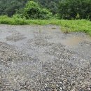 점임농장 이미지