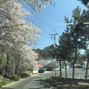 양포공원 이미지