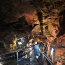 천곡천연동굴 | 동해 천곡황금박쥐동굴 입장료 천곡동굴 방문후기