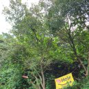 화성골프클럽 이미지