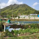 신도2교차로 4 이미지