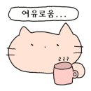 서동통돼지 이미지