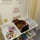 신천코지 | 가성비 잠실 셀프사진관 원데이카메라 렌탈 스튜디오, 코지룸 2인 방문 후기