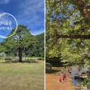 충북 보은 가볼 만한 곳 정이품송, 속리산 조각 공원 계곡