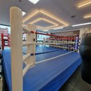 링맨복싱 이미지