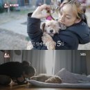 남정현농장 뉴시스