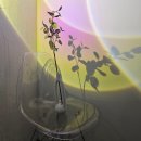 EINS(아인츠) | 홍대 프로필 사진::아인츠 스튜디오에서 인생샷 제대로 건짐(홍대 증명사진)