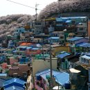 우리동네 감천 이미지