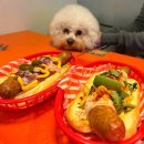 도그도기 | 【성수 애견동반 맛집】 도그아웃 성수, 미국식 핫도그 맛집 성수역 혼밥 점심