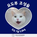 도도 동물병원 네이버블로그