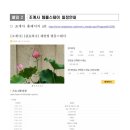 생수교회 | 열린마음동호회 -템플스테이편 | 모태신앙이 경험한 템플스테이 후기.zip