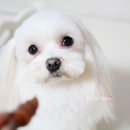 하랑푸드 이미지