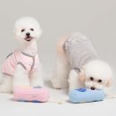 메종와이 쇼핑하우