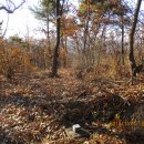 청원초교 이미지