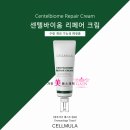 가인에스테틱 네이버블로그