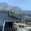 가비가배 이미지