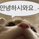인투영어학원 - 성남시 분당구 판교로 436 | 인투영어학원