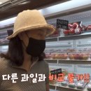 과일왕 이미지