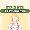 광주광역시 남구 진월동 교정치과 총정리