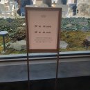 종로-종로-종로-종-070 | ♡[안국/북촌] 오설록 티하우스 북촌점