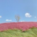 거창-남상-10 이미지
