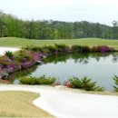 도고글로리 수영장 이미지