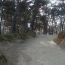 융릉ㆍ건릉 이미지