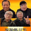 목련화 이미지
