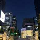 11월의 시작과 가을의 끝자락 | 임신 22주 일상