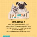 동그라미펫 이미지