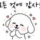 더블유동물병원 네이버블로그