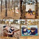 솔빛숲유치원 이미지