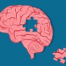 스펙트럼 이미지