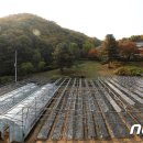 새마을 태양광발전소 이미지