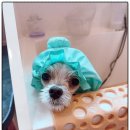 호텔 동래 이미지