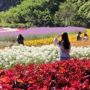 동해주유소 이미지