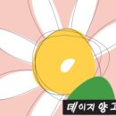 데이지커피 이미지