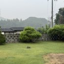 노곡리 | 안성 노곡리 가정집 소나무 전정, 전문가가 직접 시공한 후기